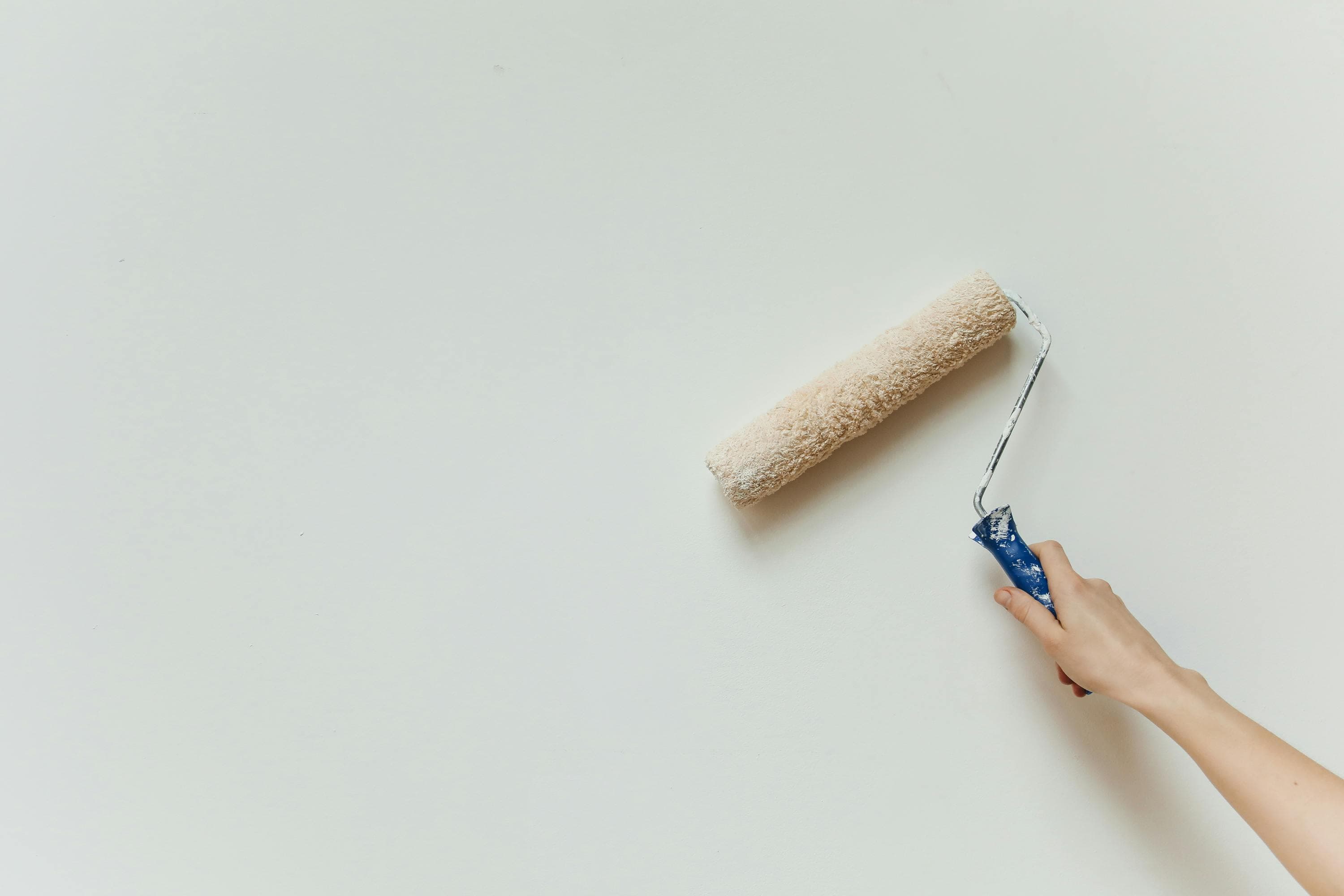 Roller applying fresh paint to a wall